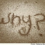 The ‘Whys’ Of What We Do