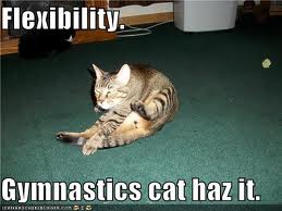 flexibility 21 Exercise Your Flexibility