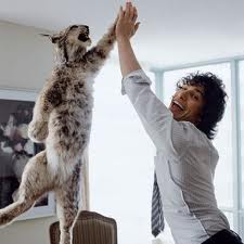 high five New Highs All Around   Well, Almost